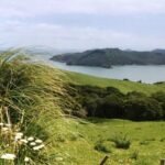 Lake Taupo Bliss: Why This Holiday Park Should Top Your Travel List