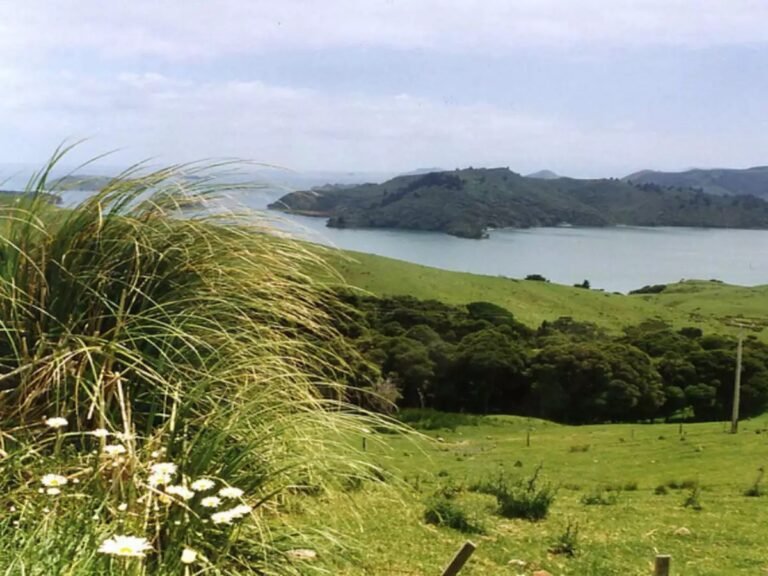 Lake Taupo Bliss: Why This Holiday Park Should Top Your Travel List