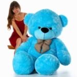 Personalised Teddies for Your Newborn