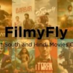 Filmyfly