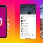 Instagram Reels Saver